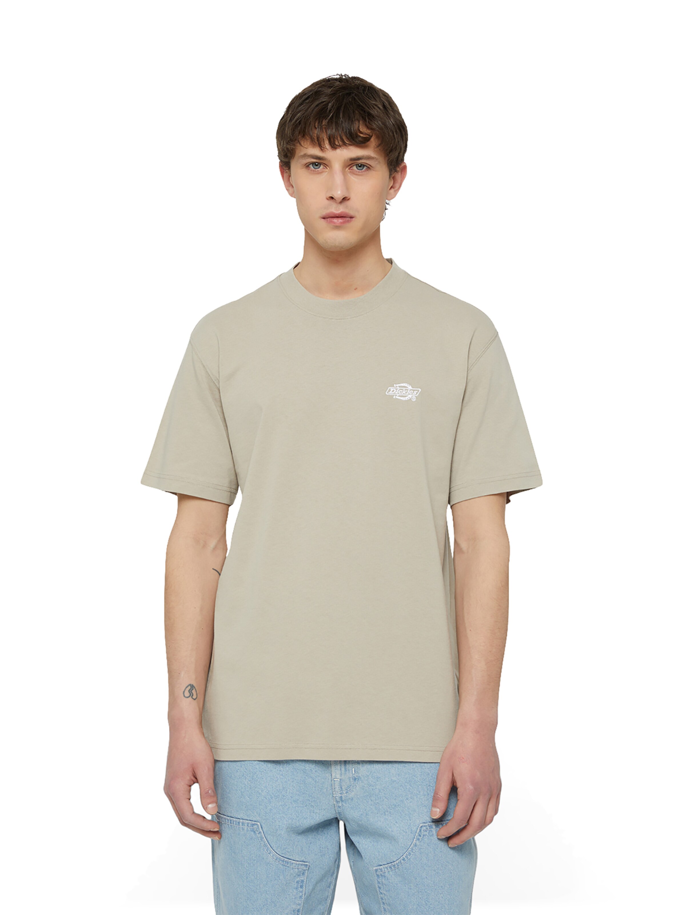 DICKIES T-Shirt 'Summerdale' in Beige: Vorderseite
