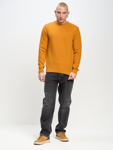 BIG STAR Sweater ' REYLI ' in Orange