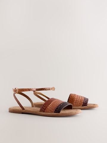 Next Strap sandal 'Forever Comfort' in Brown