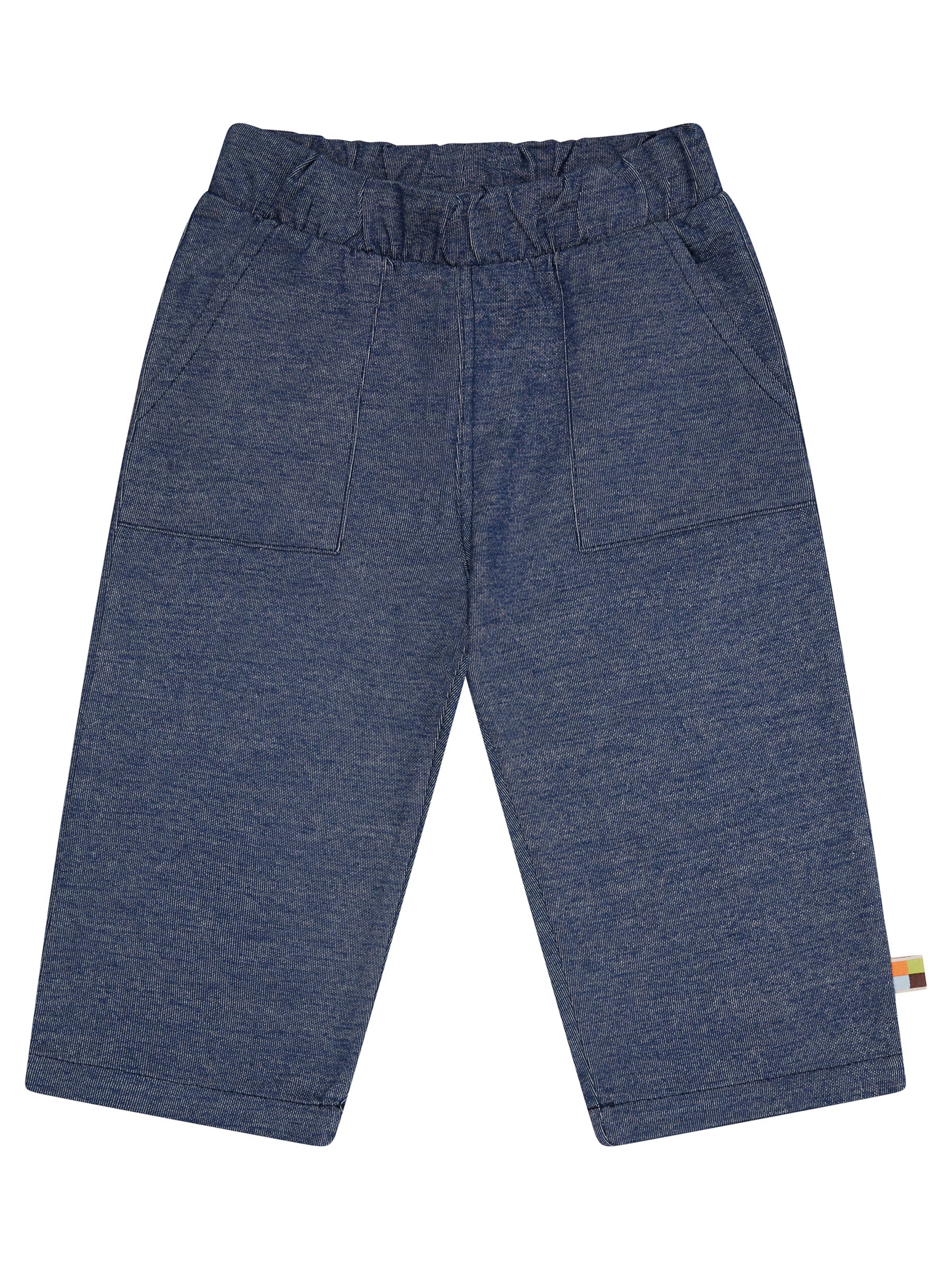 loud + proud Regular Pants in Blue: front