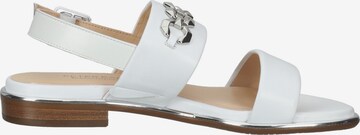 PETER KAISER Sandals in White