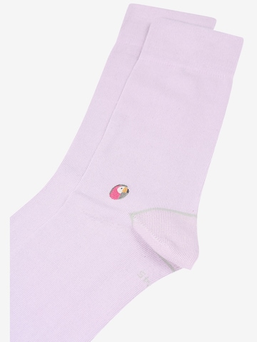 Chaussettes Sokid en violet