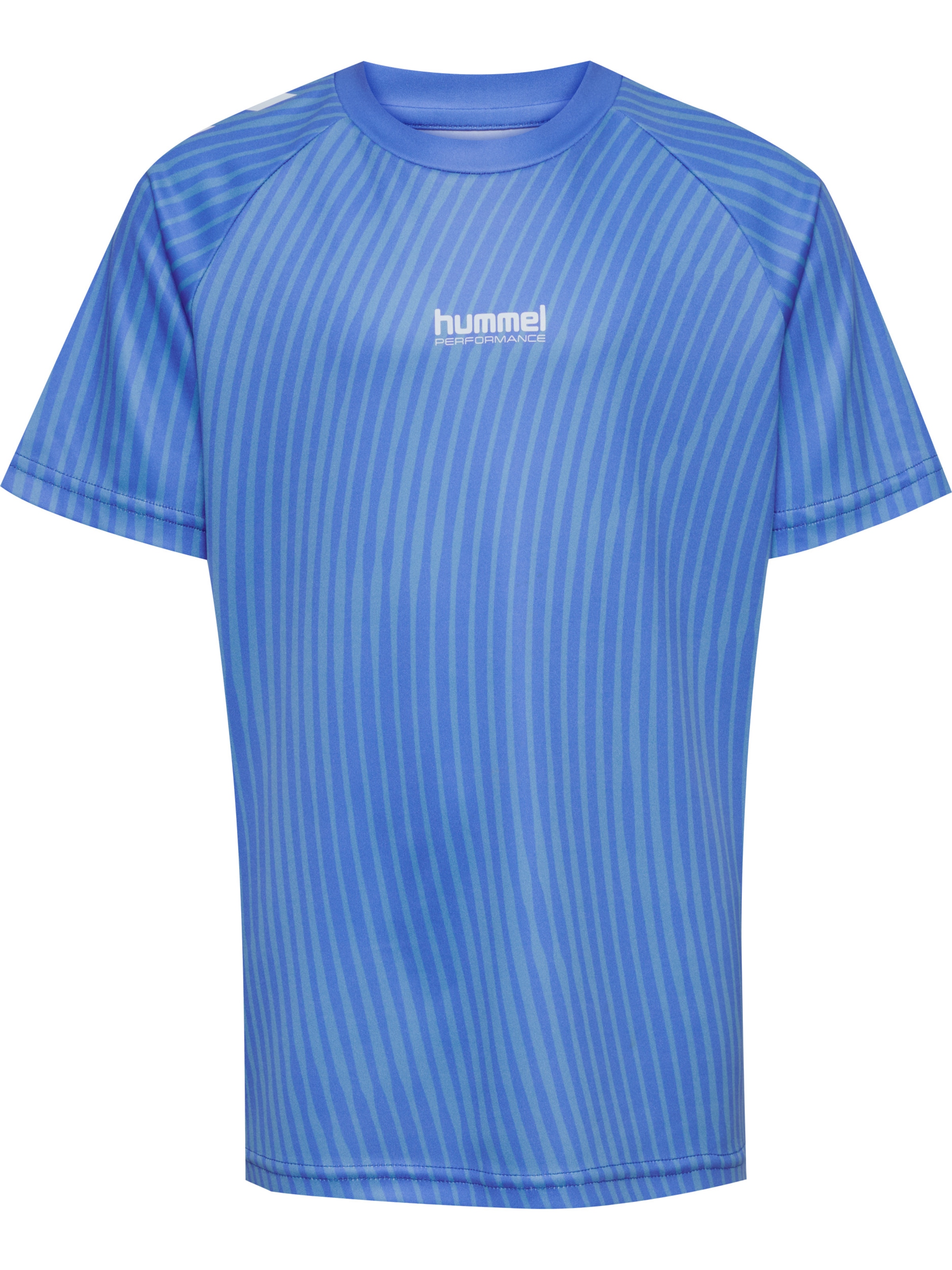 Hummel Performance shirt 'Goal' in Blue: front