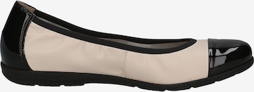 Ballerines CAPRICE en beige