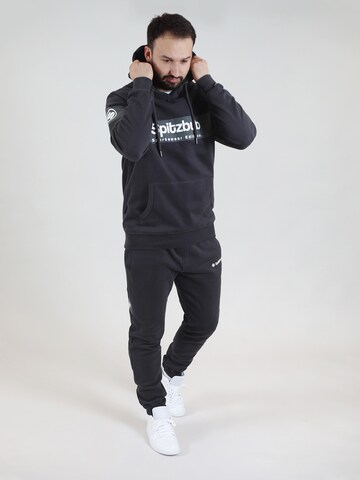 SPITZBUB Sweatshirt 'Ludis' in Grau