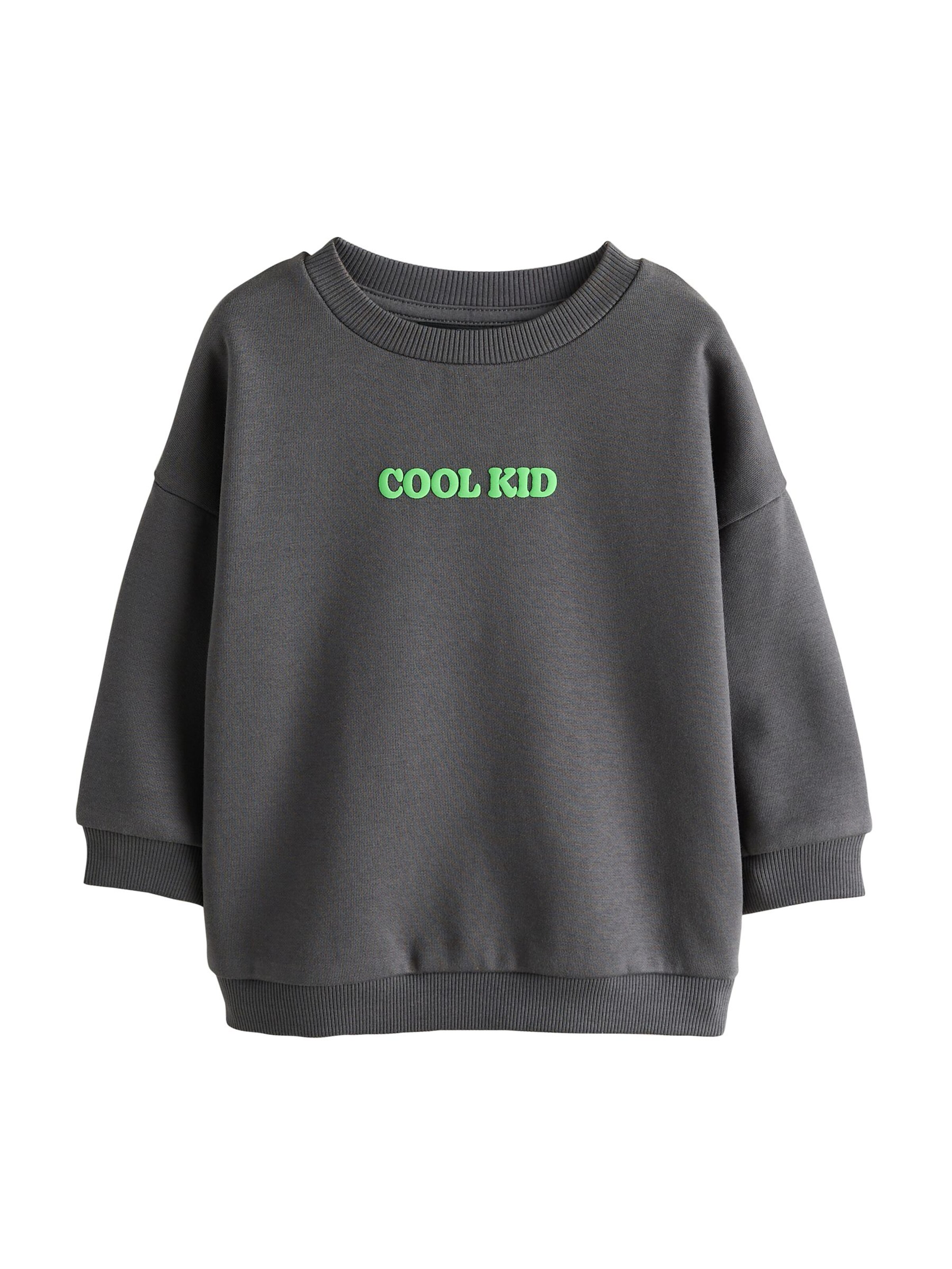Next Sweatshirt in Grau: Vorderseite