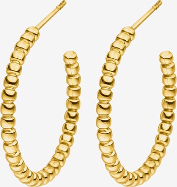 Steelwear Earrings in Gold: front