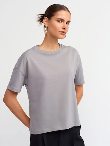 Dilvin T-Shirts in Grau: Vorderseite