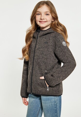 Schmuddelwedda - Chaqueta polar en gris: frente