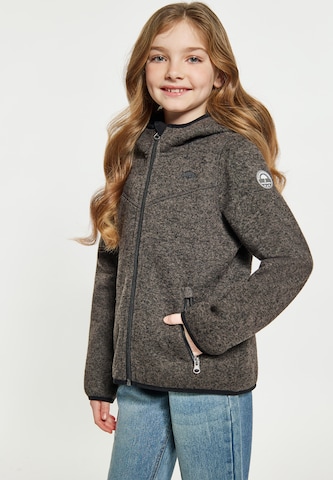 Schmuddelwedda Fleece jacket in Grey: front