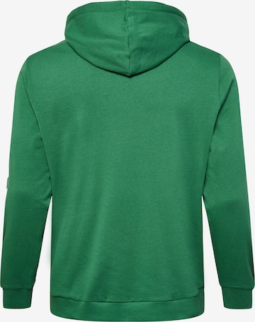 Hummel Sportsweatshirt 'Legacy' in Groen