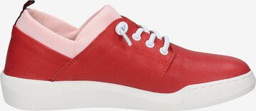 Softinos Sneaker in Rot