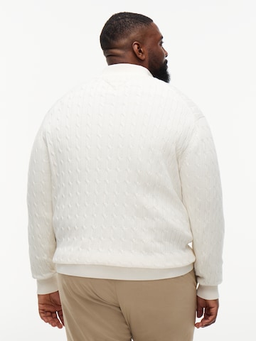 Tommy Hilfiger Big & Tall Свитер 'CLASSIC' в Бежевый