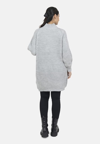 Elara Knit dress in Grey