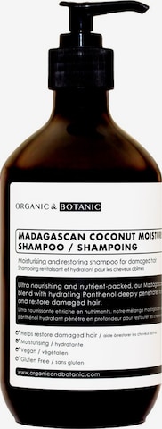 Organic & Botanic Shampoo in : front