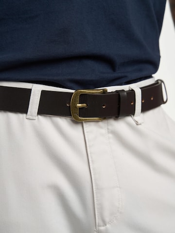 jolar Gürtel 'Stejaro Classic'‌‌‌ in Braun