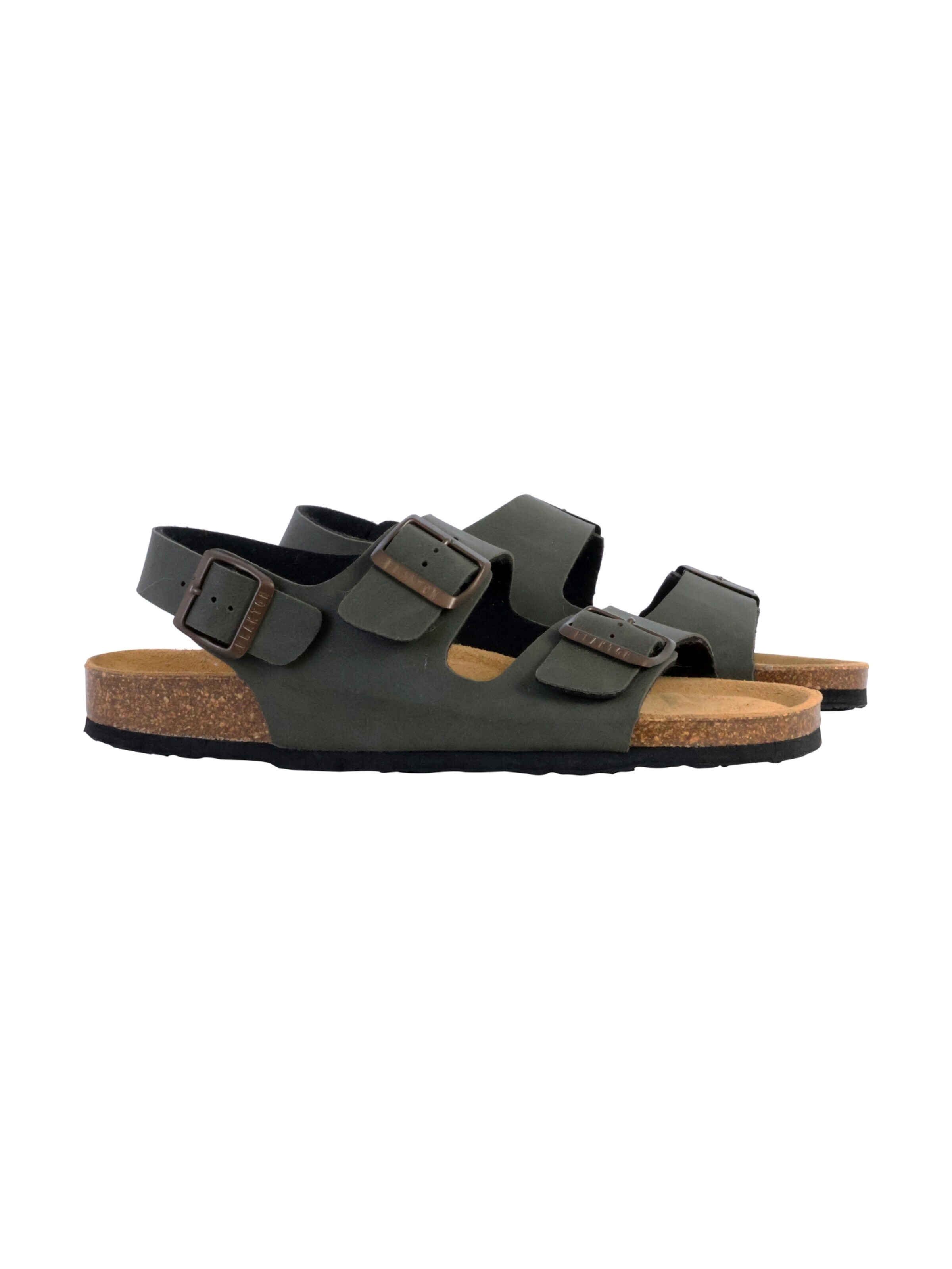 Zoccoletto di Plakton in verde