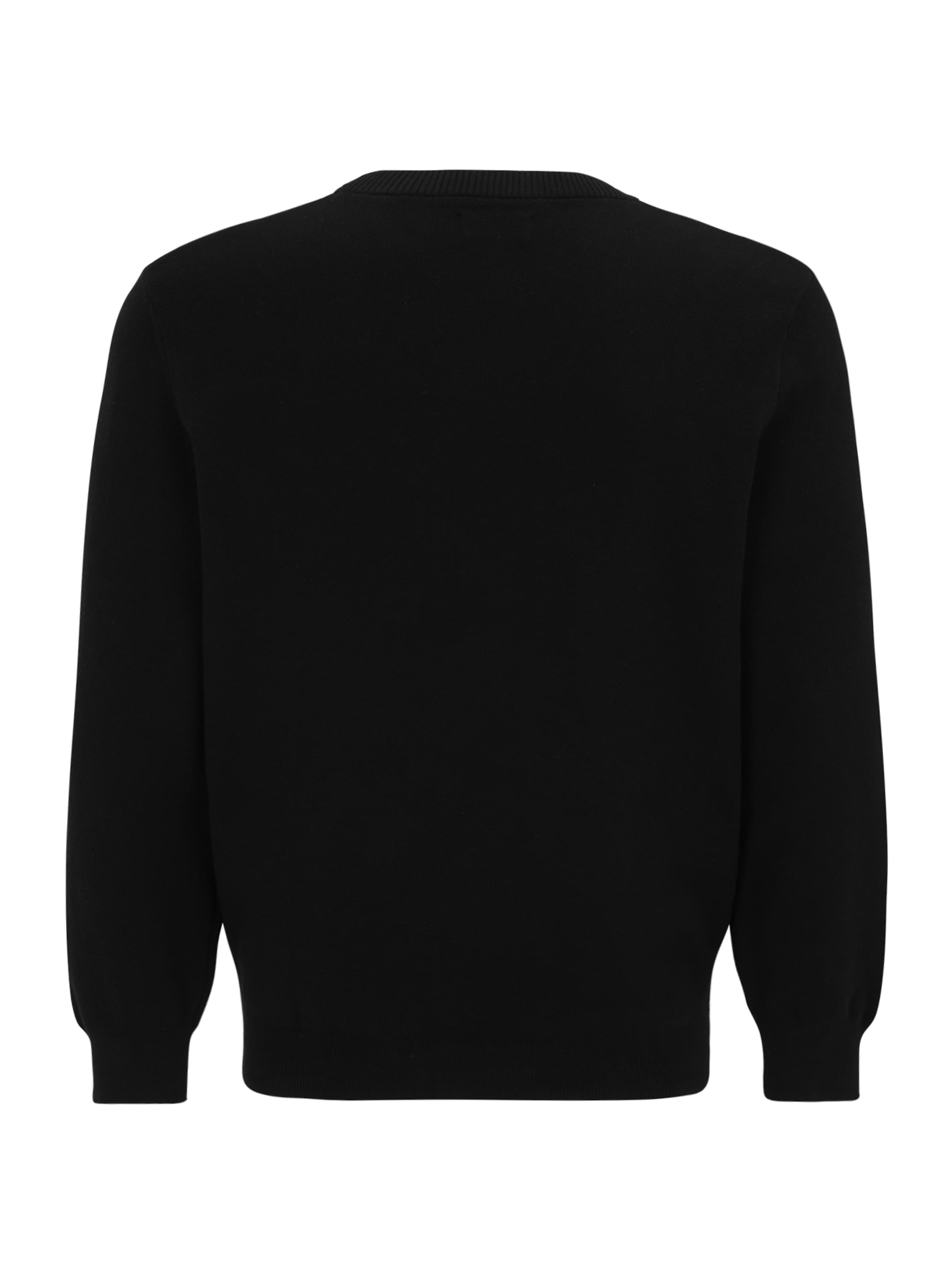 JACK & JONES Свитер в Черный