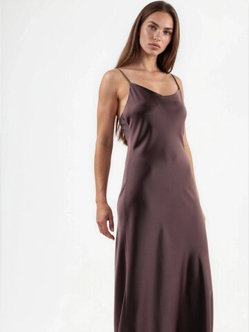 Hiccup Dress in Brown