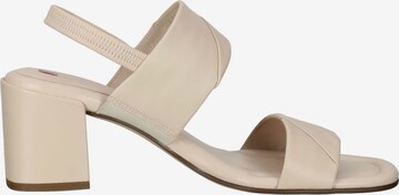 Högl Sandale in Beige