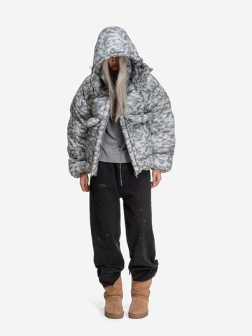 ENRAGE - Chaqueta de invierno 'PUFFY JACKET' en gris