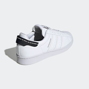 ADIDAS ORIGINALS Sneakers 'Superstar' in White