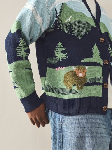 Next Strickjacke in Mischfarben