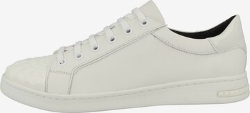 GEOX Sneakers 'Jaysen' in White