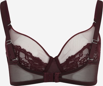 Lindex Triangel BH 'Aster' in Lila