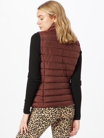 ABOUT YOU Bodywarmer 'Catherine' in Bruin