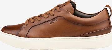 Baskets basses 'Metro' LLOYD en marron : devant