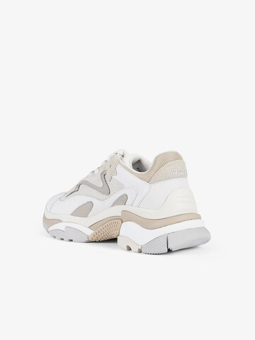 ASH Sneakers laag 'Addict' in Beige