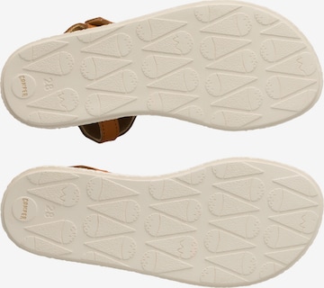 CAMPER Sandals ' Twins ' in Brown