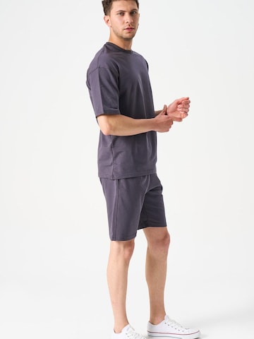 LOUIS LECLER Regular Pants 'Otto' in Grey