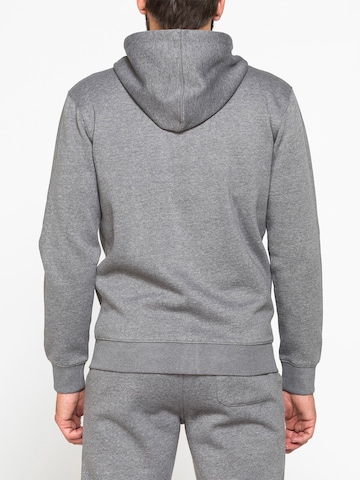Carrera Jeans Sweatshirt 'Hood' in Grey