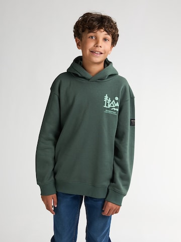 Petrol Industries Sweatshirt in Green