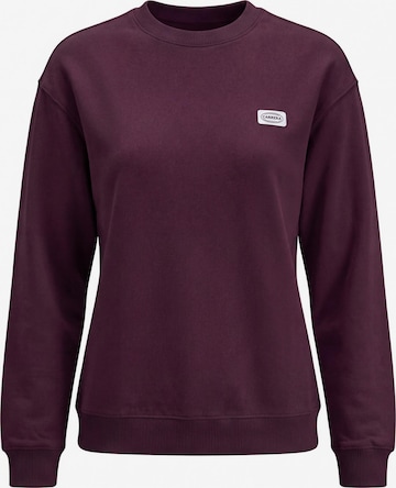 Carrera Jeans Sweatshirt 'Oversize' in Red: front
