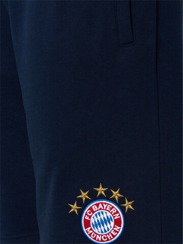 FC BAYERN MÜNCHEN Regular Workout Pants in Blue