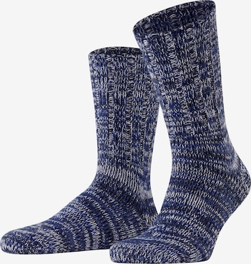 FALKE Socks 'Brooklyn' in Blue: front