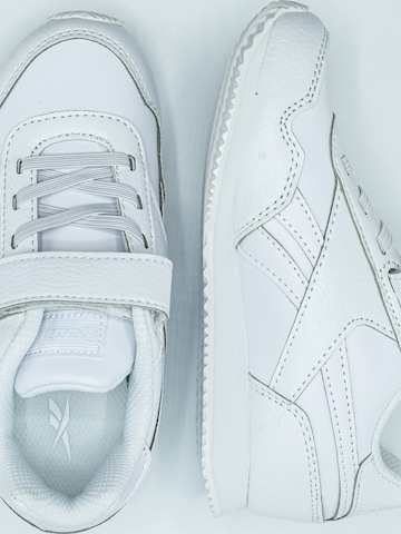 Reebok Sneaker 'Royal Classic Jogger' in Weiß