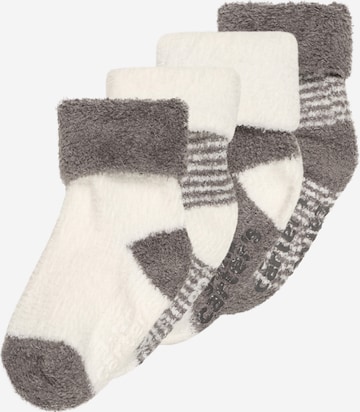 Carter's Socken in Grau: predná strana