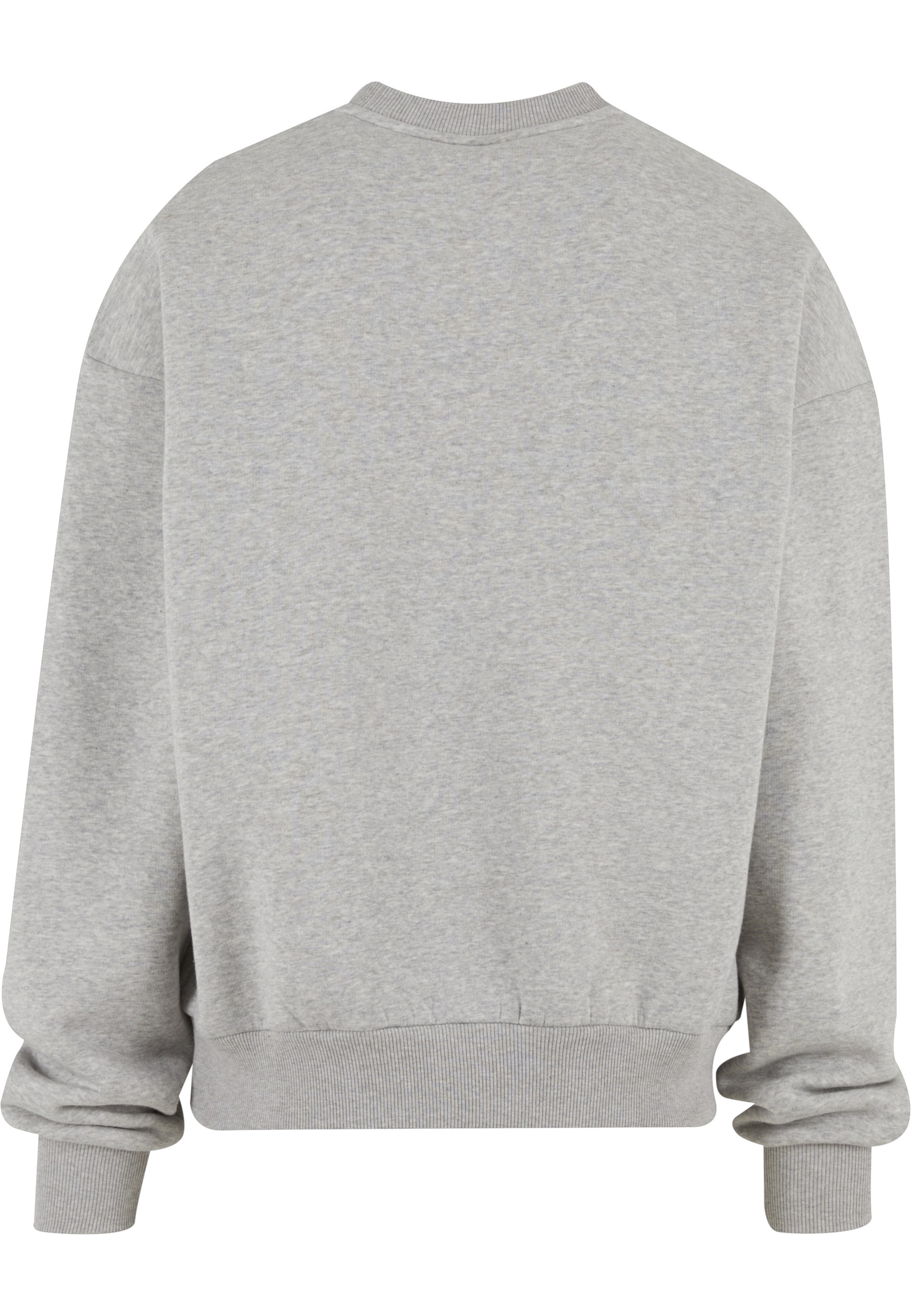 Prohibited Sweatshirt i grå