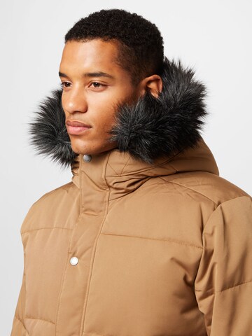 HOLLISTER Parka 'WORKWEAR' in Braun