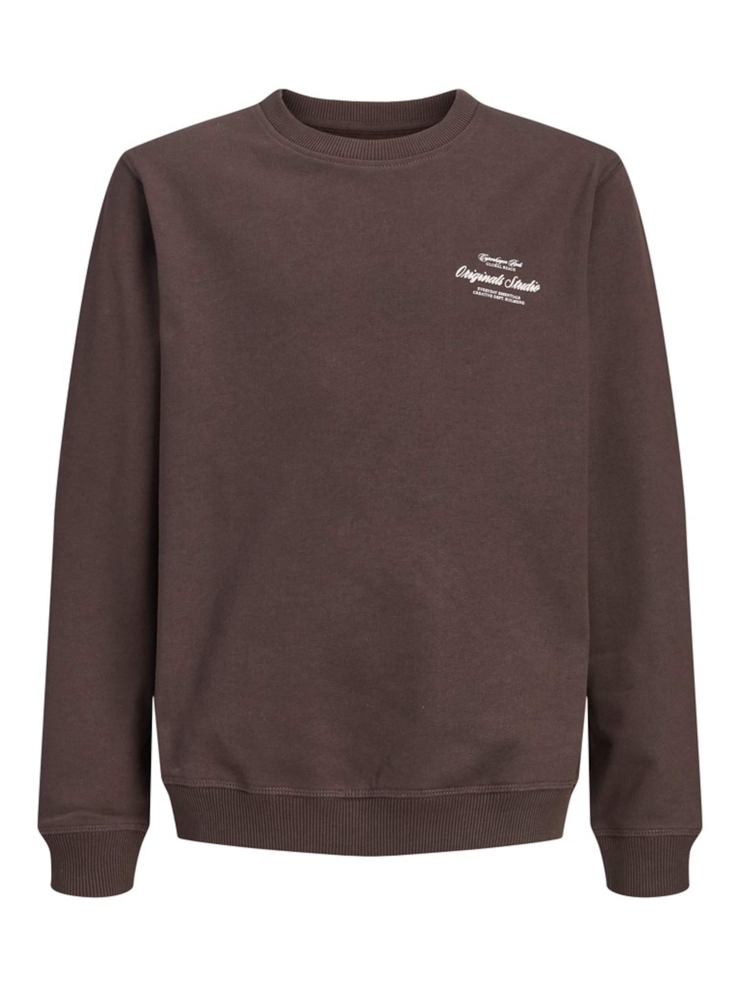 Jack & Jones Junior Sweatshirt 'JORNORREBRO' in Bruin: voorkant