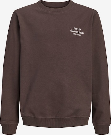 Jack & Jones Junior - Sudadera 'JORNORREBRO' en marrón: frente
