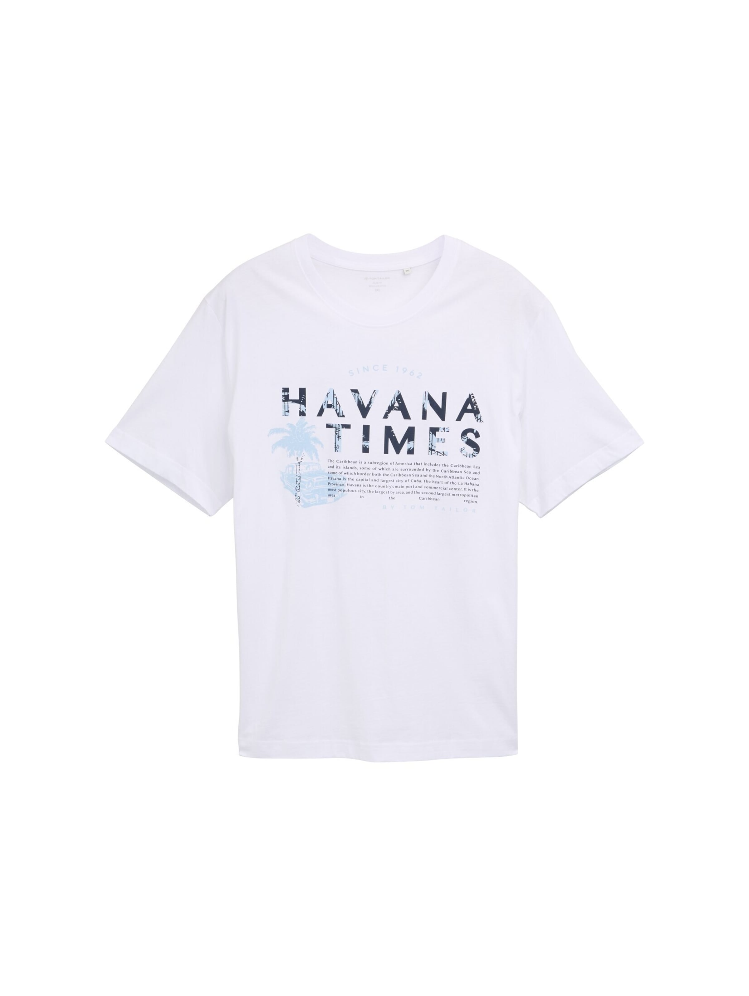 TOM TAILOR Men + Shirt in White: front