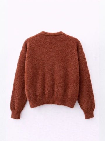 MixRay Strickjacke 'Strickjacken'‌‌‌‌‌‌‌‌‌ in Braun