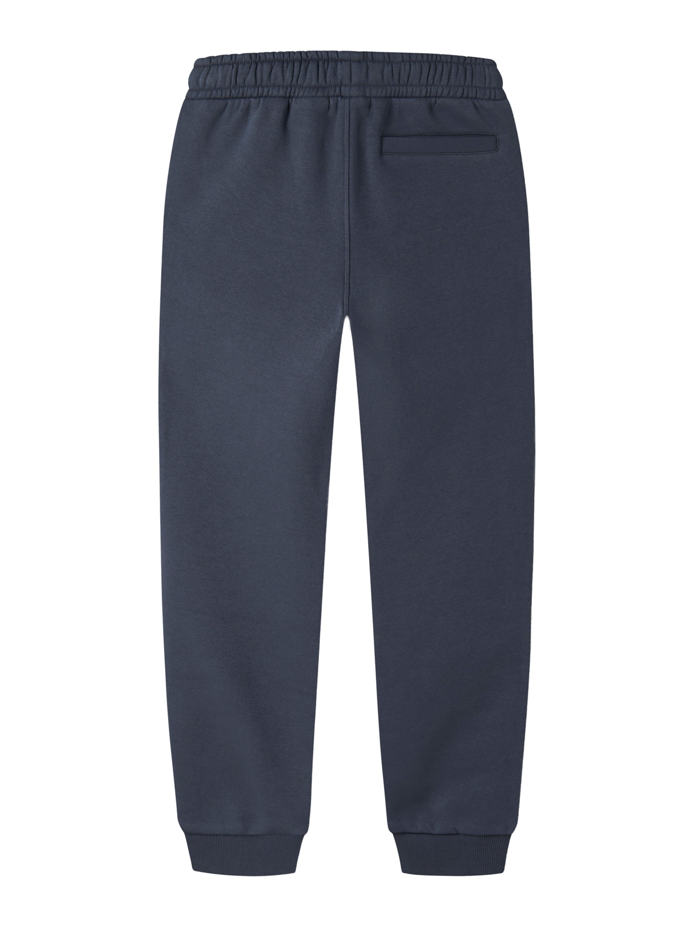 NAME IT Tapered Παντελόνι 'NKNCHARLIE' σε γκρι: πίσω