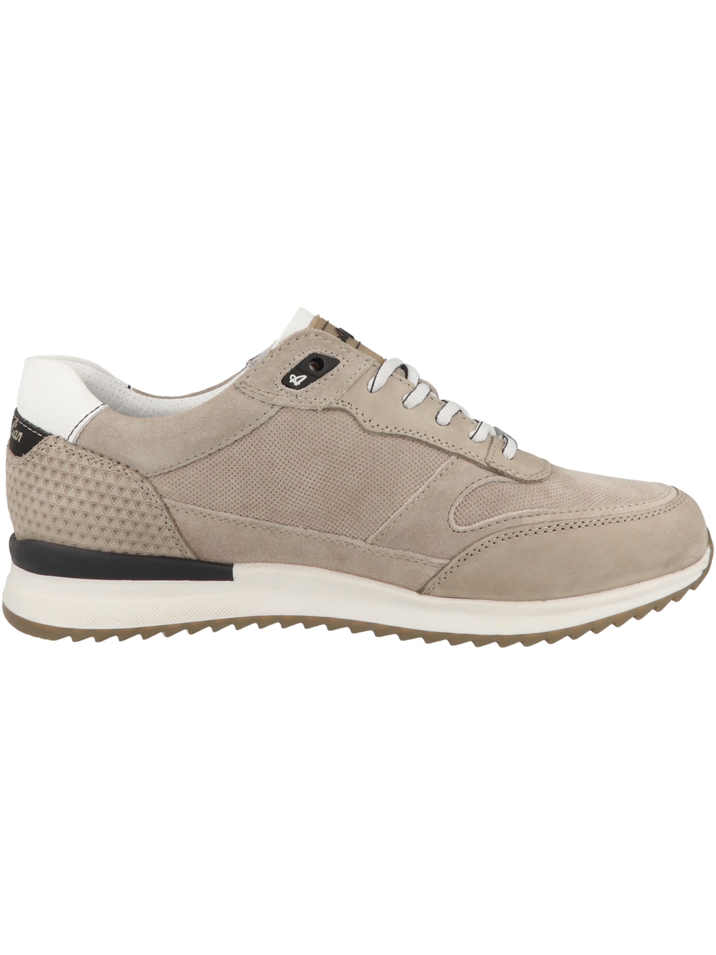 Baskets basses 'Filmon' AUSTRALIAN FOOTWEAR en beige