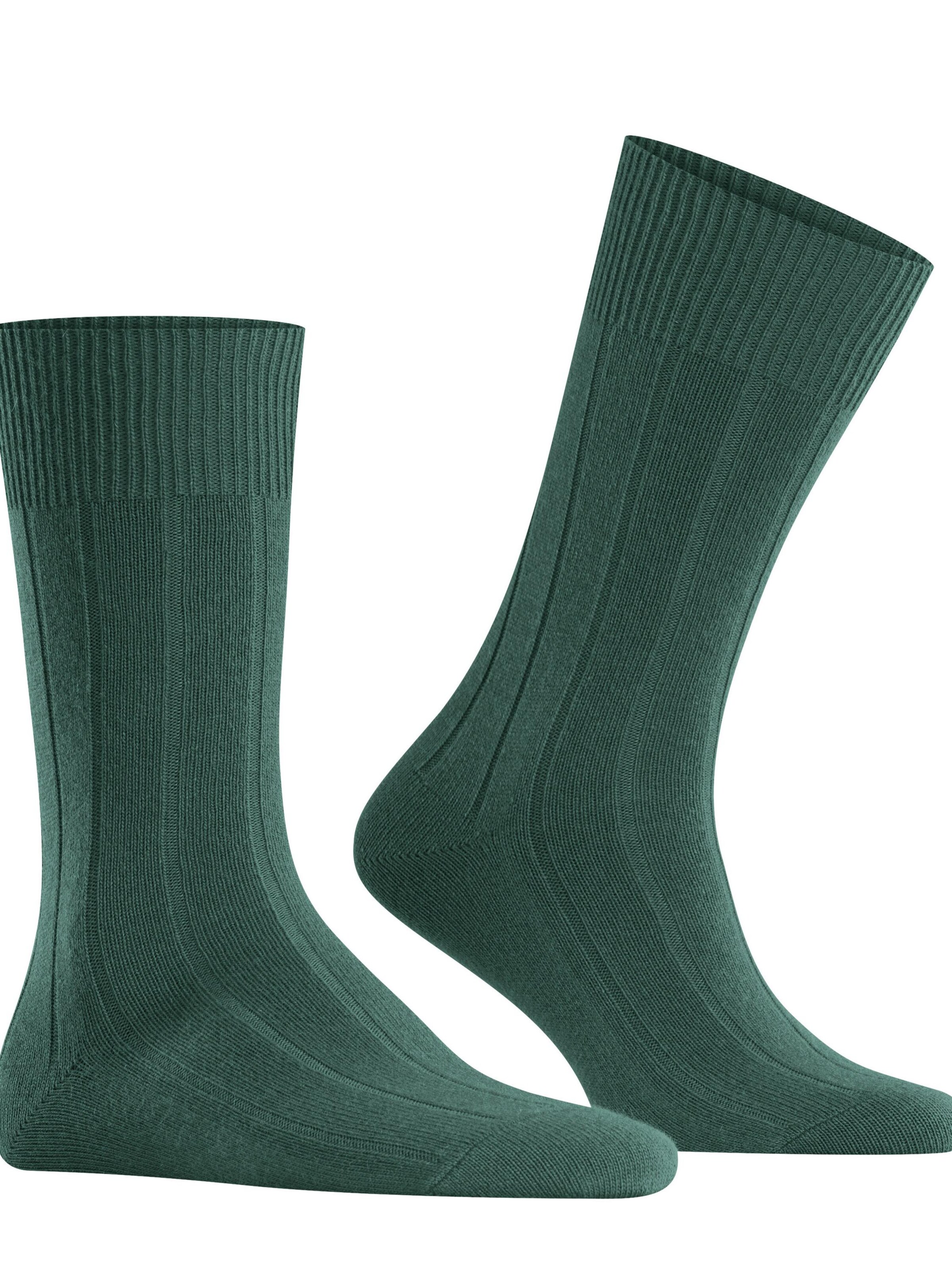 FALKE Socks 'Lhasa Rib' in Green